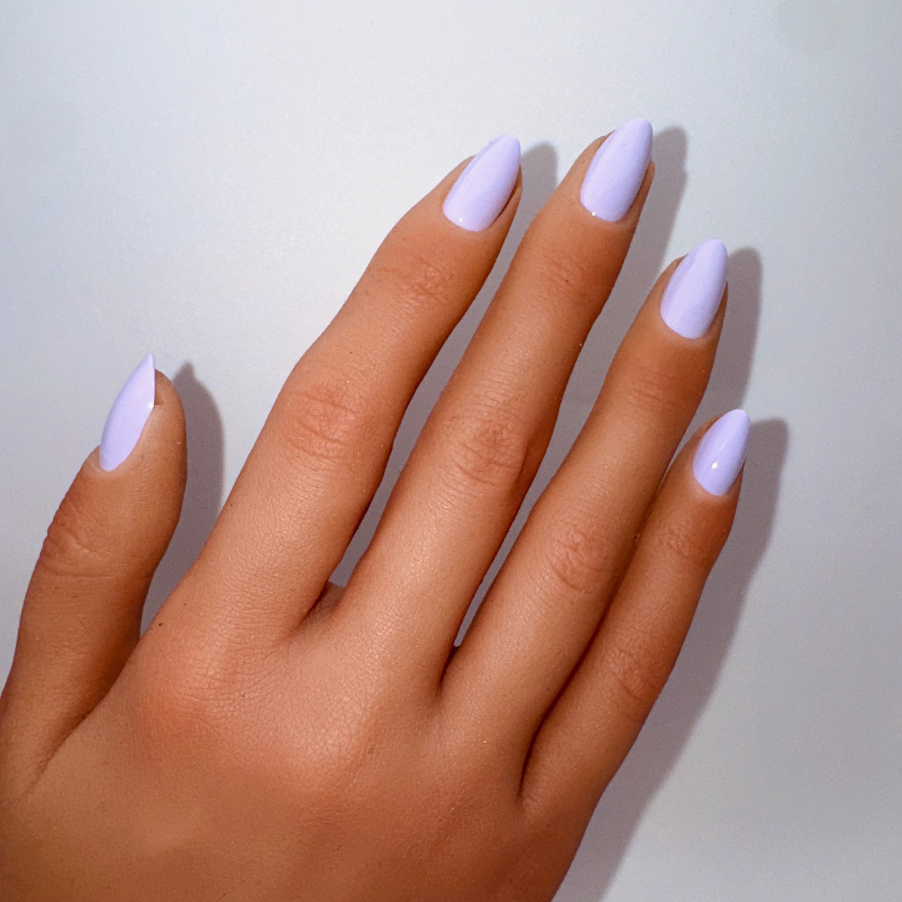 Lavender Lust
